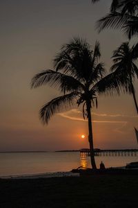 Silhouette palm tree by sea against sky during sunset