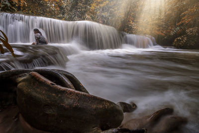 Scenic view of waterfall in forest