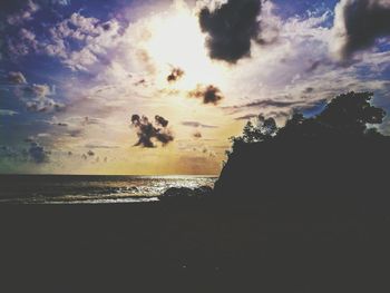 Close-up of silhouette birds on beach against sky during sunset