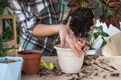 Midsection of man holding potted plant