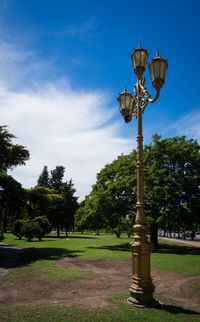 Low angle view of street lights in park against sky