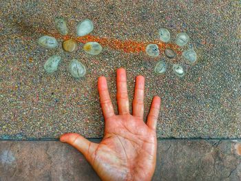 High angle view of person hand on pebbles