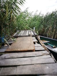 Close-up of wood against sky
