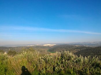 Scenic view of landscape against blue sky