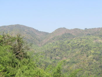 Scenic view of landscape against clear sky