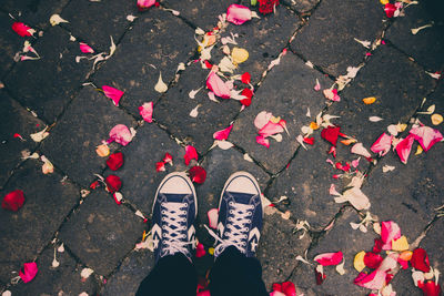 Low section of person standing by pink flowers on street