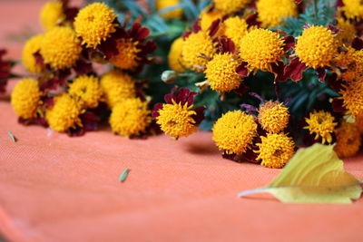 Close-up of yellow flowering plant on table