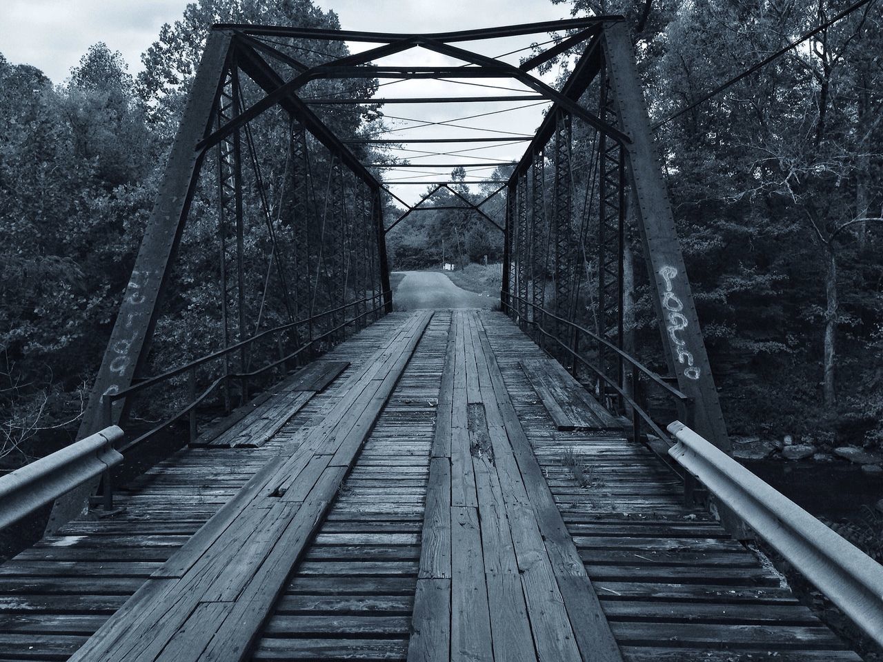 the way forward, tree, connection, diminishing perspective, railroad track, vanishing point, transportation, built structure, bridge - man made structure, metal, rail transportation, architecture, footbridge, sky, railing, forest, long, day, no people, outdoors