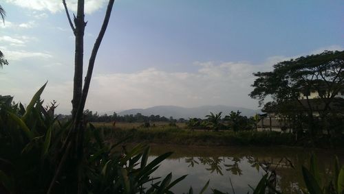 Scenic view of landscape against cloudy sky