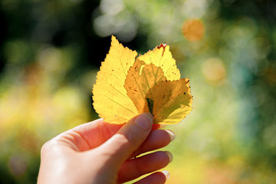 yellow