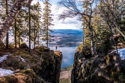 Scenic view of waterfall in forest against sky