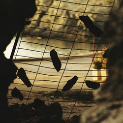 Low angle view of silhouette hanging against sky