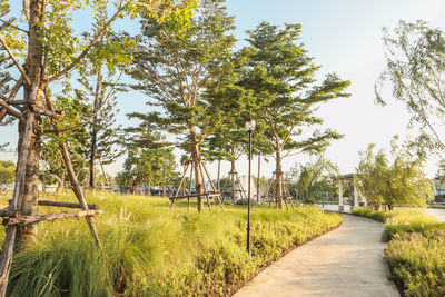 Footpath amidst trees on field against sky