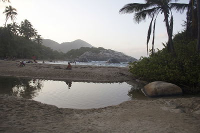 Scenic view of beach against clear sky