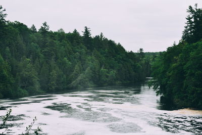 Scenic view of waterfall in forest against sky