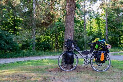 Bicycle in forest