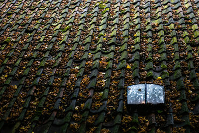 Full frame shot of weathered roof tiles