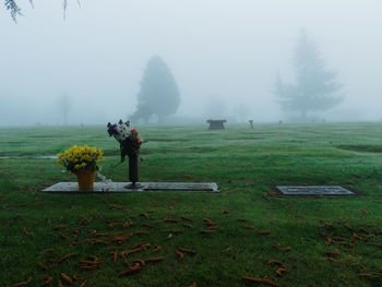 Tombstones and flowers in cemetery during foggy weather