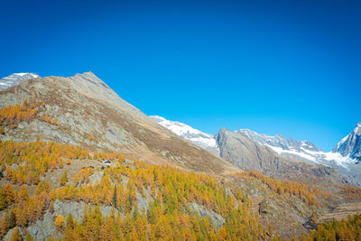 Mountain fire in autumn. a journey through the lark forests at an altitude of 2000m.