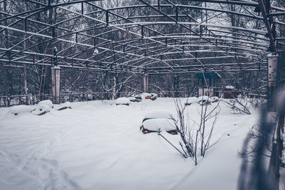 Bare trees on snow covered field