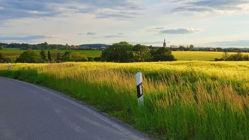 Rear view of man on field by road against sky