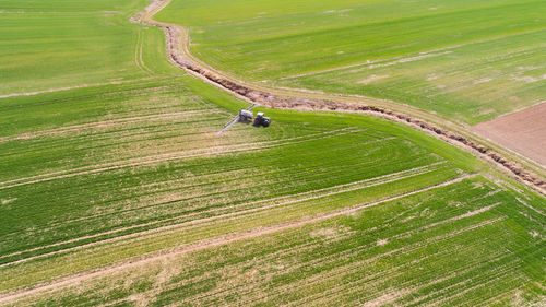 High angle view of agricultural field