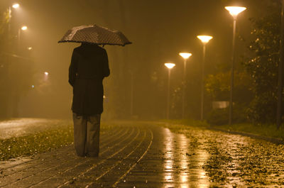 Rear view of woman walking on illuminated street at night
