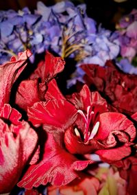 Close-up of rose bouquet