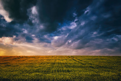 Scenic view of field against sky during sunset