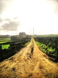 Dirt road passing through field