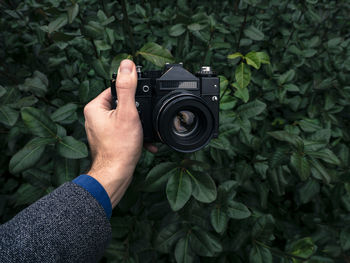 Cropped hand holding camera against plants