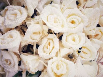 Full frame shot of white roses