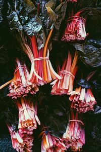 Close-up of flowers