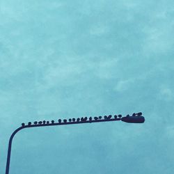 Low angle view of birds against sky