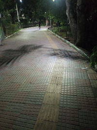 Empty narrow road along trees in city