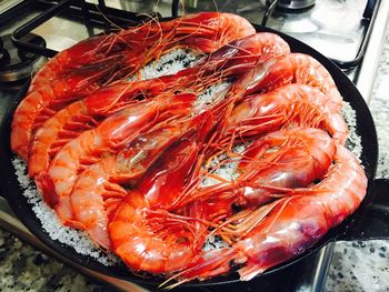 High angle view of prawns on ice