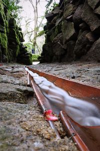 Close-up of rocks by water