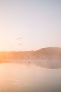 Bird flying over lake against sky during sunset