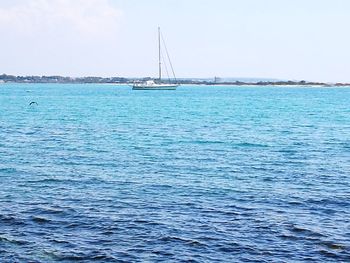 Sailboat sailing on sea against sky