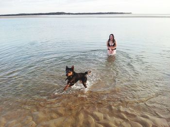 Woman with dog in sea