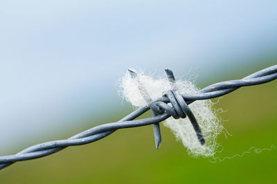 Close-up of rope tied to metal fence