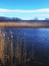 Scenic view of lake against blue sky