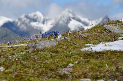 Scenic view of snow field against sky