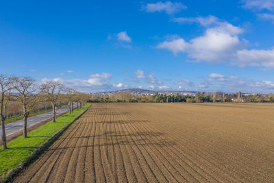 Scenic view of agricultural field against blue sky