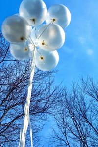 Low angle view of tree against blue sky