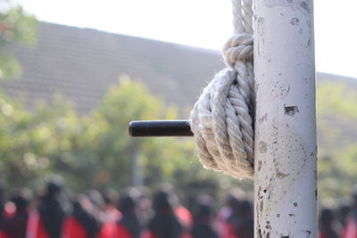 Close-up of rope tied to wooden post
