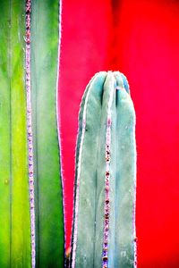 Full frame shot of multi colored curtain