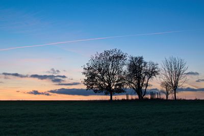 Scenic view of agricultural field against sky during sunset