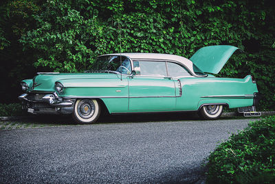 Vintage car against trees