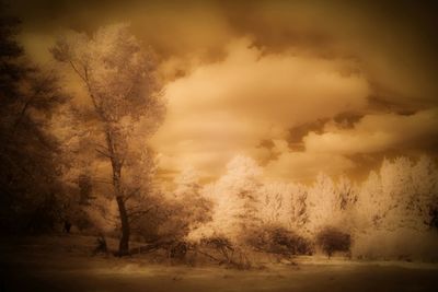 Scenic view of landscape against cloudy sky